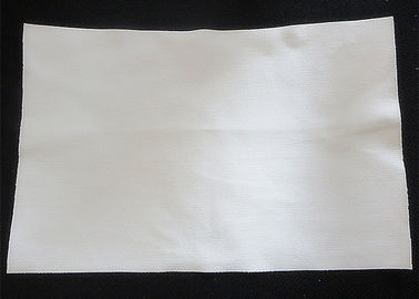 Placas de prensa de nylon de filtro del poliéster PTFE